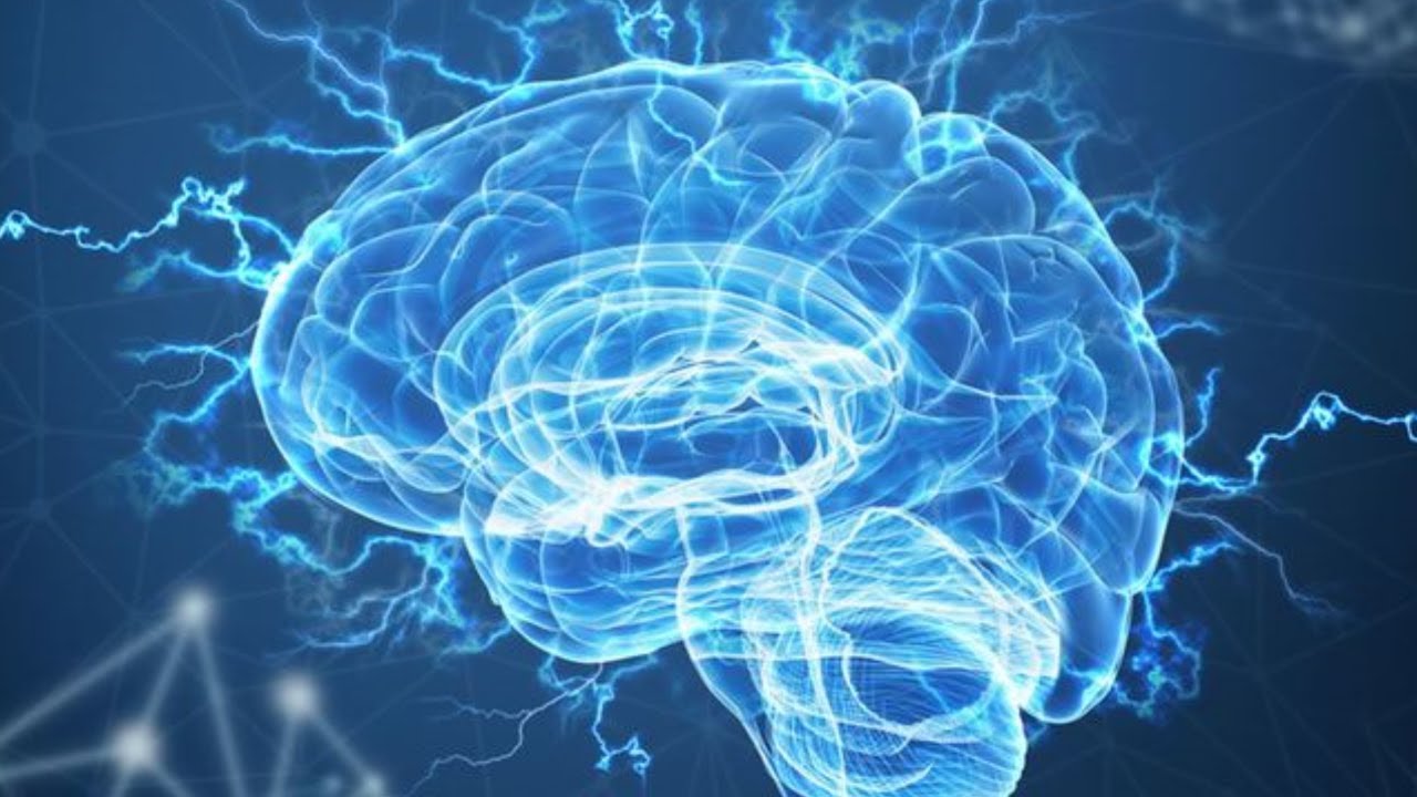 画像の説明 画像の説明